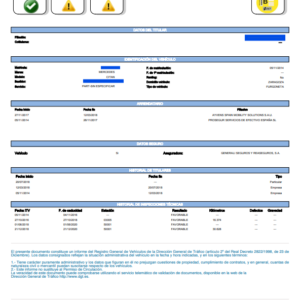 Informe DGT Oficial (1 ud.)