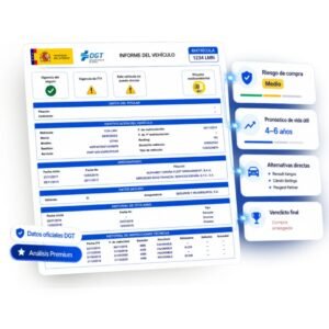 Informe DGT Premium (1 ud.)